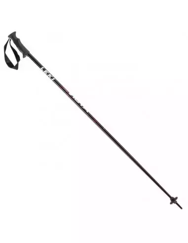 Kije narciarskie Vista Leki