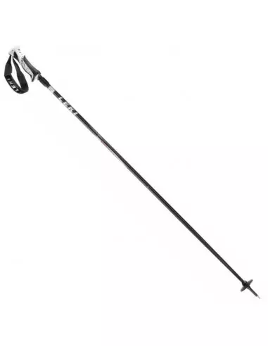 Kije narciarskie Vista Leki