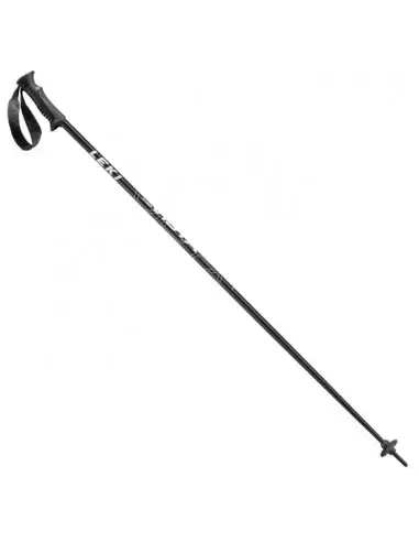 Kije narciarskie Vista Leki